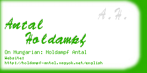 antal holdampf business card